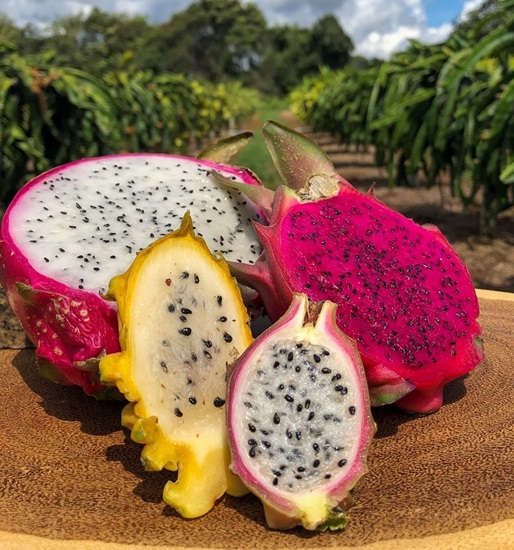 Benefícios da pitaya